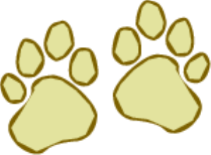 MSP_C22.png