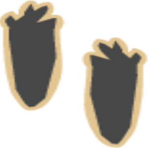 MSP_C18.png