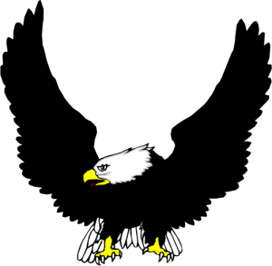 MAS035.png