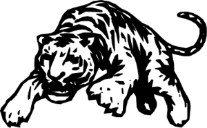 MAS145.png