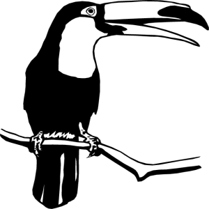 NATU48.png