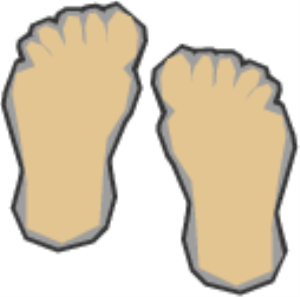 MSP_C20.png