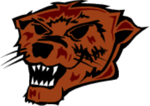 MS_C72.png