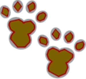 MSP_C05.png
