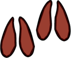MSP_C09.png