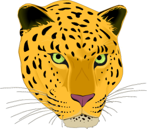 MAS053.png