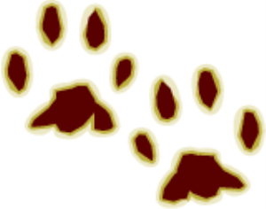 MSP_C07.png