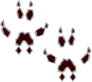 MSP_C06.png