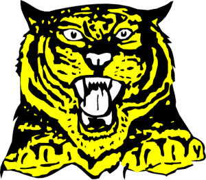 MAS079.png