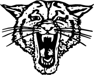 MAS095.png