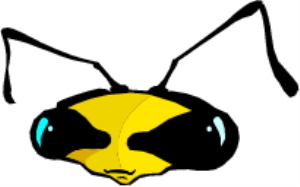 MS_C68.png