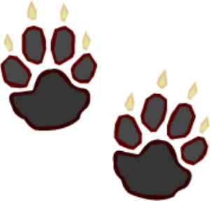 MSP_C08.png
