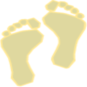 MSP_C14.png