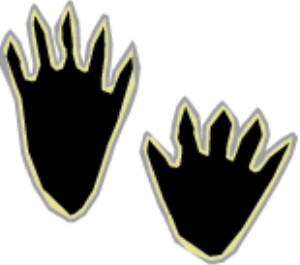 MSP_C19.png
