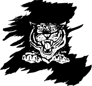 MAS078.png