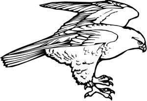 MAS211.png