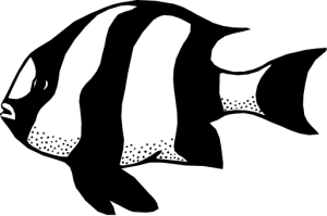 NATU18.png