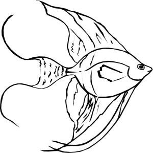 NATU23.png