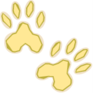 MSP_C13.png