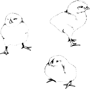 NATU08.png