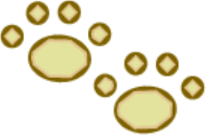 MSP_C11.png