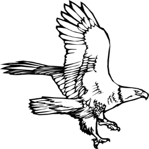 MAS214.png