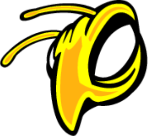 MS_C34.png