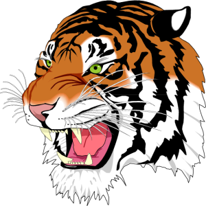 MAS075.png