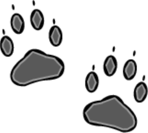 MSP_C23.png
