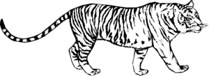 MAS105.png
