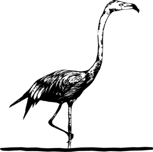 NATU20.png