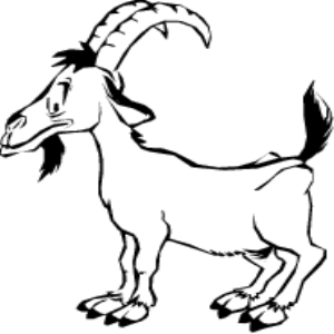 MAS162.png
