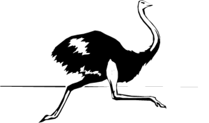 NATU31.png