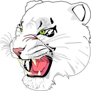 MAS027.png