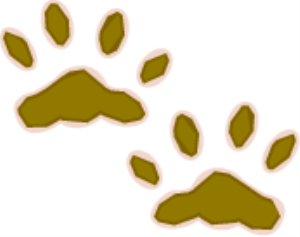 MSP_C17.png