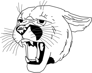 MAS028.png