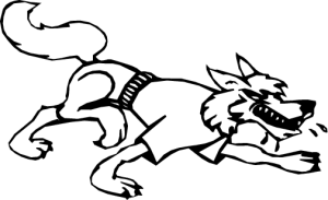 MAS207.png