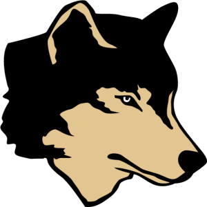 MAS_C60.png