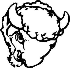 MAS152.png