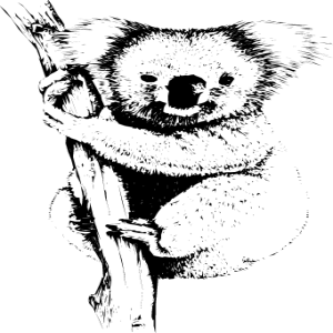 NATU26.png