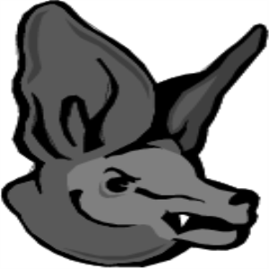MS_C06.png