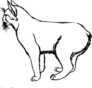 MAS088.png