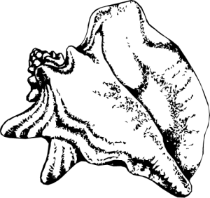 NATU41.png