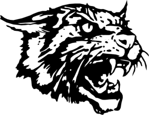 MAS004.png