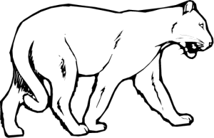 MAS212.png