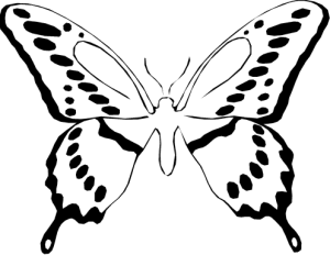 NATU03.png