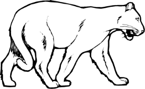 MAS116.png