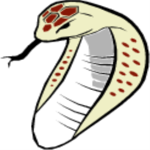 MS_C17.png