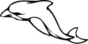 MAS215.png