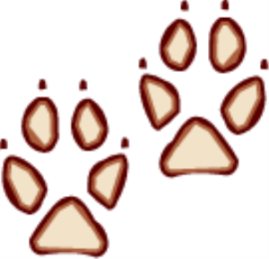 MSP_C12.png